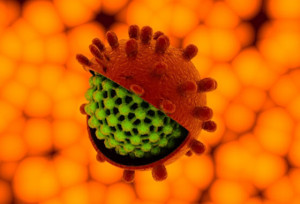 virus-hepatite