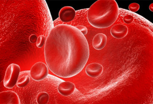 sangue_freedigitalphotosnet