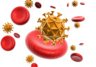 virusnosangue_freedigitalphotos