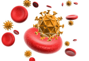 virusnosangue_freedigitalphotos
