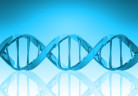 dna_azul_fdp
