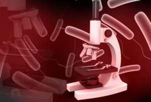 microscopio-e-bacteria_fdp