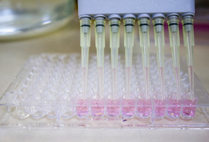 especial-pipetas-Camilla-Carvalho_Instituto-Butantan1