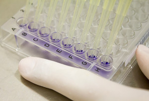 especial-pipetas-Camilla-Carvalho_Instituto-Butantan2