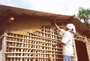 USP